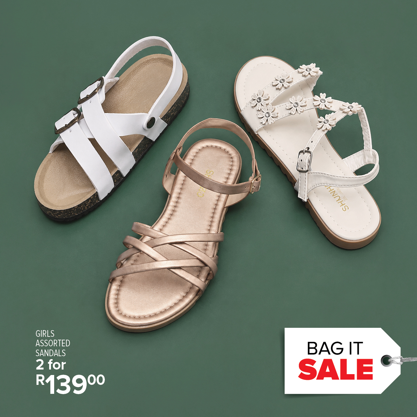 BagItSaleShoes-3.jpg